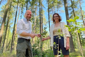 Größte Aufforstungsaktion in Lüneburg - Stadtforstamt pflanzt 100.000 neue Laubbäume in einem Jahr